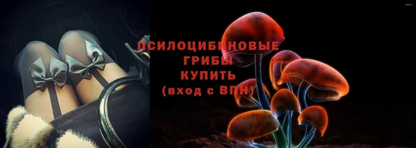 дмт Магас