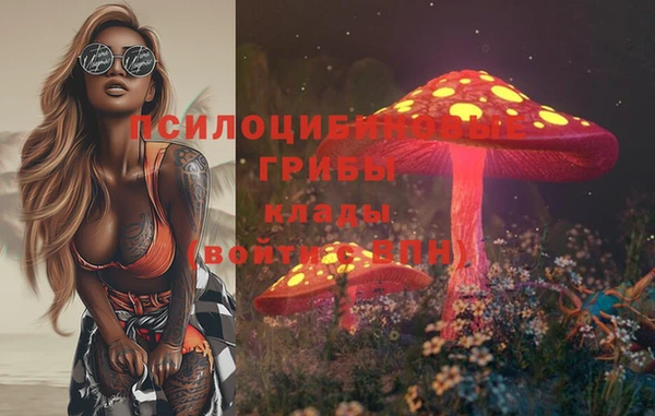 МДПВ Майский