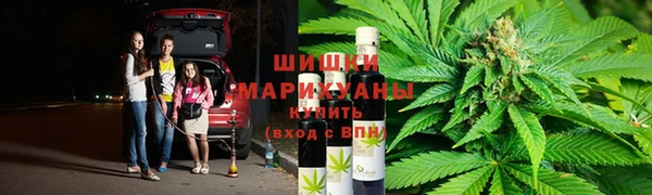 дмт Магас